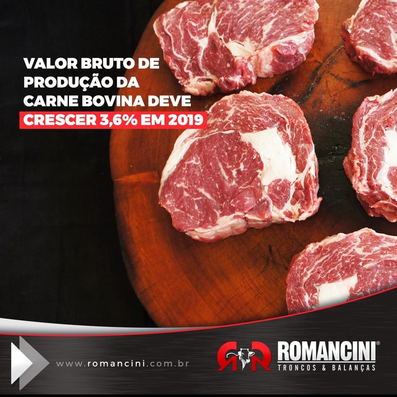 Valor Bruto de Produção da carne bovina deve crescer 3,6% em 2019