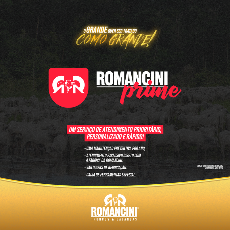 ROMANCINI inova mais uma vez e lança a ROMANCINI PRIME