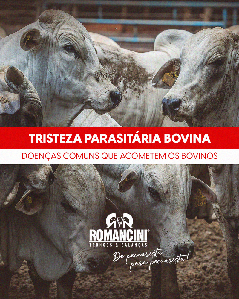 TRISTEZA PARASITÁRIA BOVINA