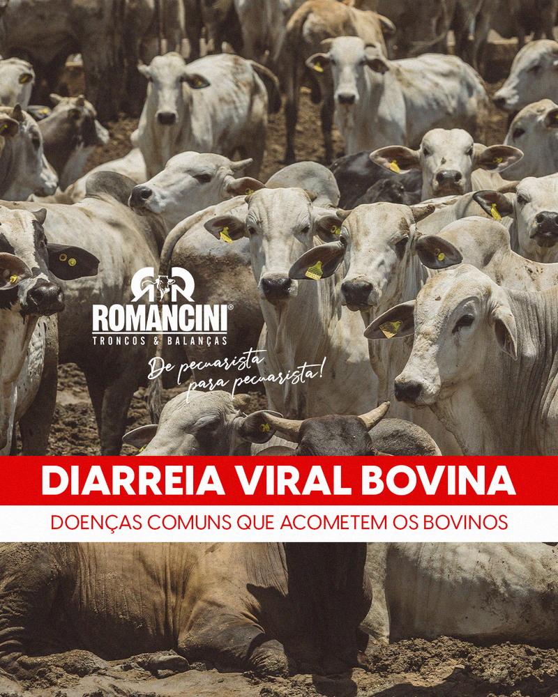 DIARREIA VIRAL BOVINA (BVD)